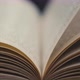Flipping Pages On An Old Book. - VideoHive Item for Sale
