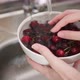 Lady hands hold bowl with red cherries wash under stream - VideoHive Item for Sale