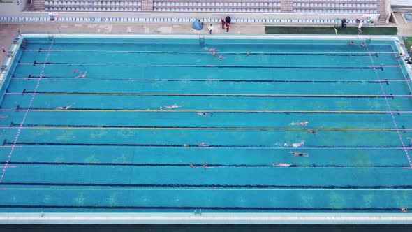 Aerial View of Group of Swimmers Training in Swimming Pool