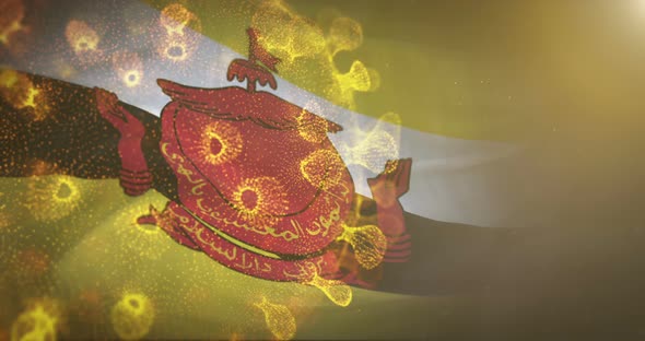 Brunei Flag With Corona Virus Bacteria 4K
