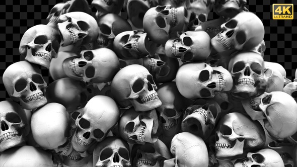 Skulls Halloween Transition