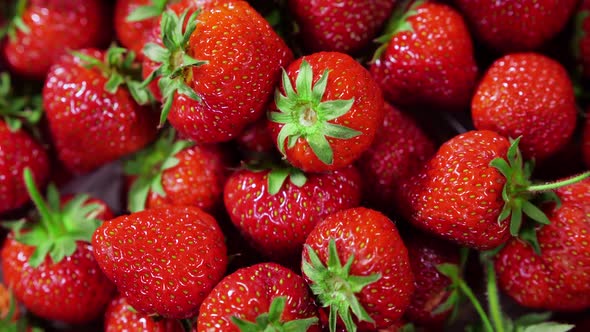 Strawberries Red Juicy Ripe Berries Closeup