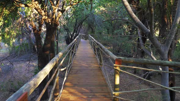 Wooden Walkway Surrounded By Trees Into The Safari Lodge In Okavango Delta, Botswana. - POV- wide ro