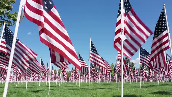 Low Angle View of American Flags Blowing in The Wind