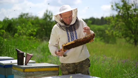 Beekeeping process