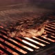 Cooking Marble Steak on Fire - VideoHive Item for Sale