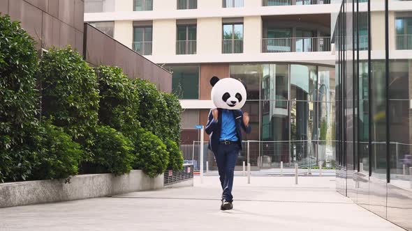 Businessman with panda head