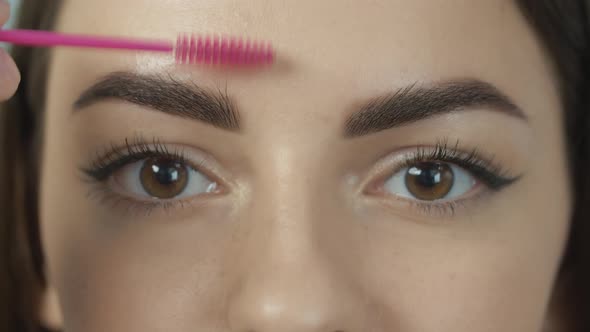 Woman Painting Eyebrows with Brush