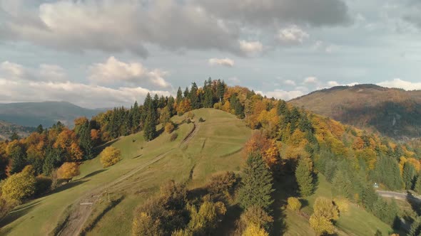 Pictorial Winding Ground Road To Hilltop with Mixed Forests