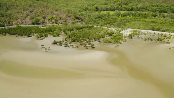 Aerial, Low Tide And Huge Sand Ocean Bed And Mangroves Growing In Queensland Australia