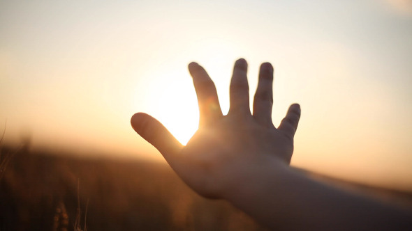 Hand on Ceral Field 10 alt