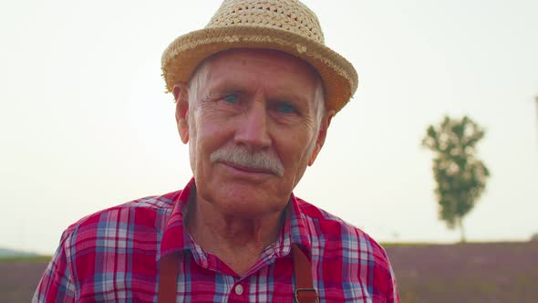 Portrait of Senior Farmer Worker Grandfather Man in Organic Field Growing Purple Lavender Flowers