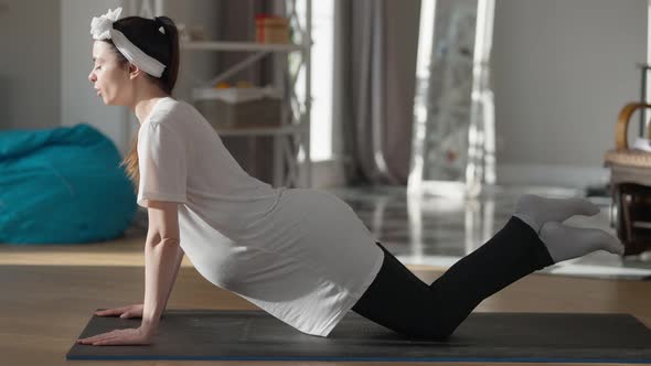 Side View Portrait of Pregnant Motivated Sportswoman Exercising in Plank Position at Home Indoors