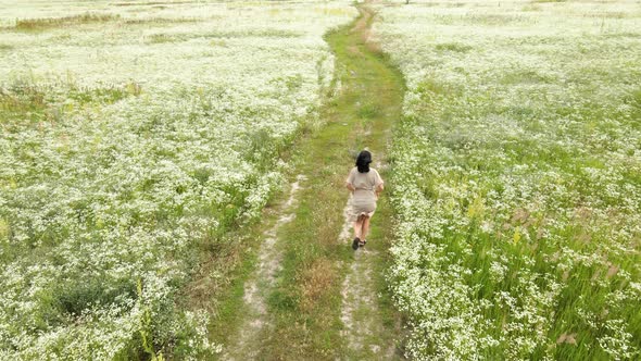 Drone aerial view of happy woman in dress running in flower blooming meadow