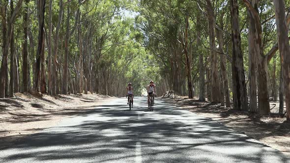 Young couple cycling along road