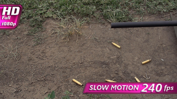 Shot From a Rifle alt