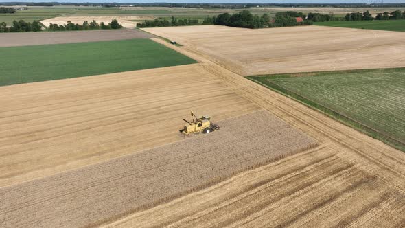 Combine Harvester Agriculture Farm Land Grain Harvest Machinery in Golden Colored Field Farming