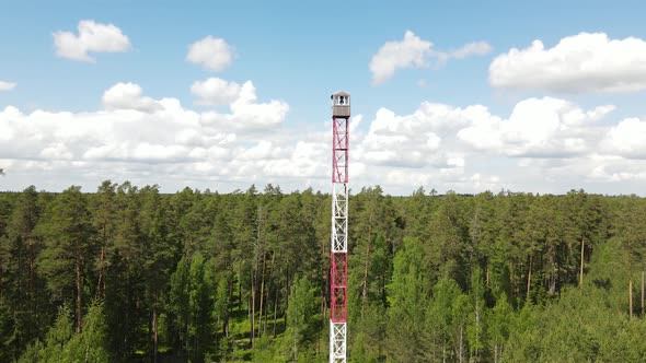 Lookout tower in the woods. Fire tower in the woods