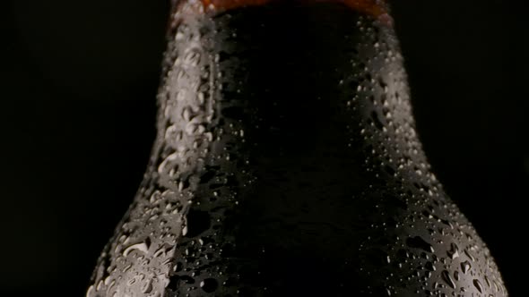 Wet Bottle of Cool Beer