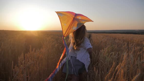 Pretty Girl Playing with Kite in Wheat Field on Summer Day, Childhood, Lifestyle Concept