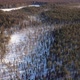Aerial Flight Over the Winter Forest - VideoHive Item for Sale