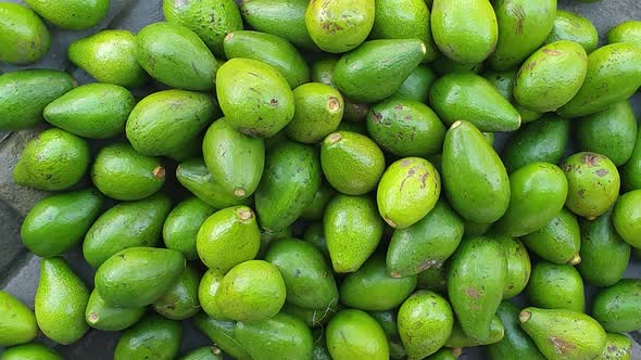 Huge pile of freshly picked harvested green avocado at the local fruit and vegetable market on tropi