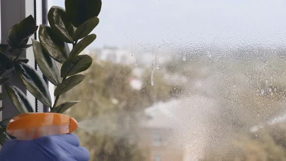 Cleaning the Window
