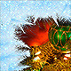 Winter frame frost on the glass - VideoHive Item for Sale