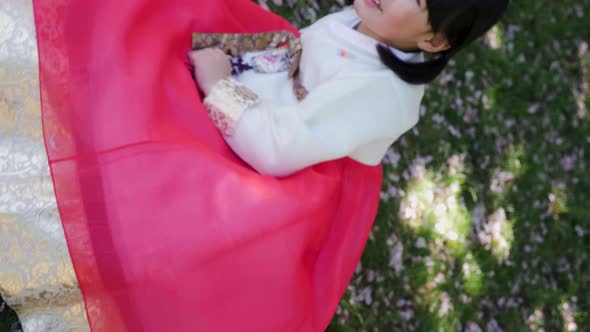 Korean Girl Child in a National Costume Walks in a Garden with Cherry Blossoms in Spring