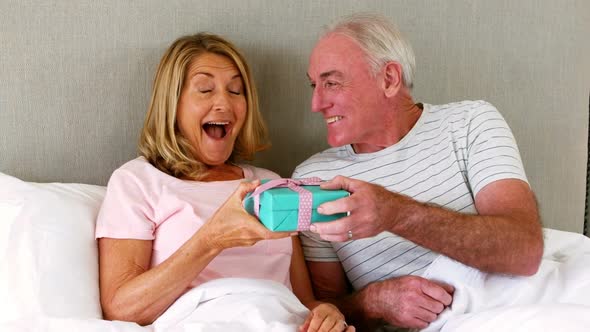 Senior man giving a surprise gift to senior woman