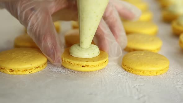 Process of Making Macaron Macaroon French Dessert Squeezing the Dough Form Cooking Bag