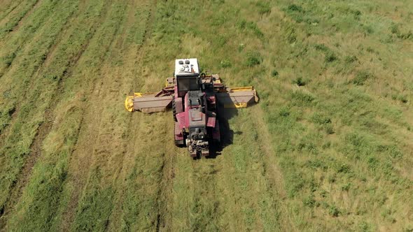 Aerial View of an Agricultural Machine Mowing Juicy Grass on a Sunny Day in a Meadow