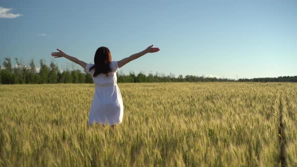 A Young Woman in a White Dress Walks on a Green Wheat Field. The Girl Goes and Raises Her Hands Up