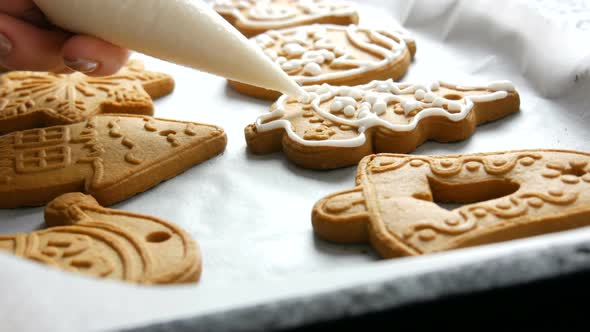 Christmas Holiday Gingerbread Cookie