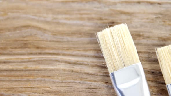 Close-up of two paint brushes