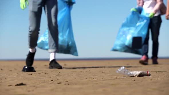 Unrecognizable Volunteers Picking Plastic Waste From Ground Sand on Beach and Put in Bag Spbi