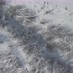 Drone Flight Over the Park in the Snow By Day - VideoHive Item for Sale