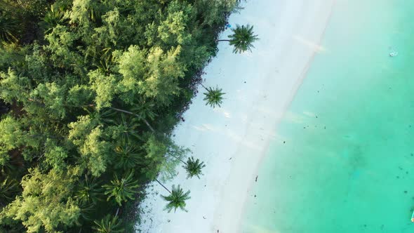 White sandy shore of a tropical island. A forest of palm trees reaches the turquoise ocean. The Cari