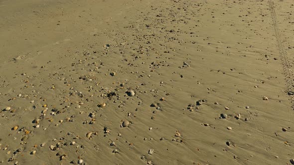 Shells On The Beach Of Wrightsville North Carolina. 4k 60p Motion Video