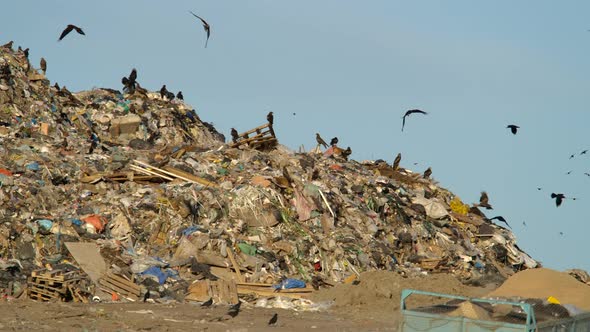 Concept of Modern Society of Consumption and Environmental Pollution on Dump 
