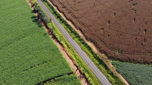 Rural road near farming landscape. Countryside rural scenery.