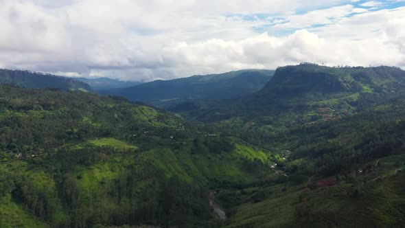 Tea Estate on the Slopes of the Mountains in Sri Lanka