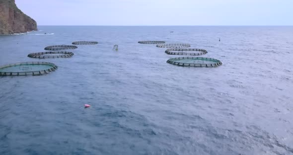 Aquaculture Aerial View