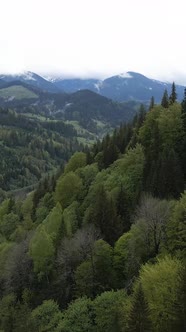 Carpathian Mountains