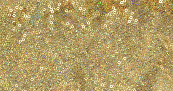 Glittering Shiny Fabric with Sequins Closeup