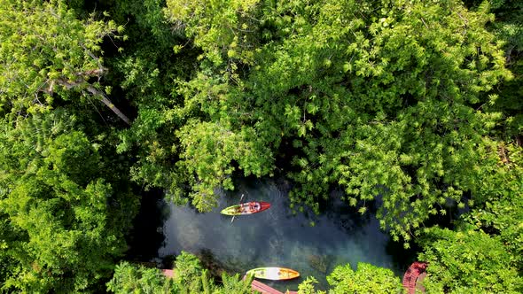 Couple in a Kayak in the Jungle of Krabi Thailand Men and Woman in Kayak at a Tropical Mangrove in