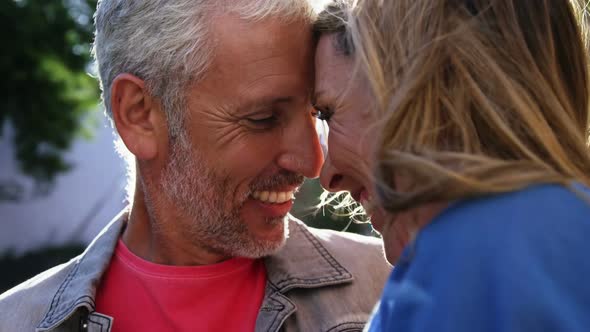 Portrait of Mature Couple is Smiling and Embracing