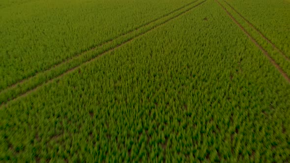 Drone speeding towards sky with green field