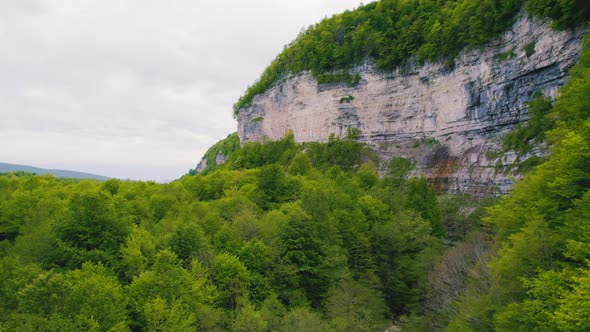 Ascending Shot of a High Cliff Covered with Green Vegetation