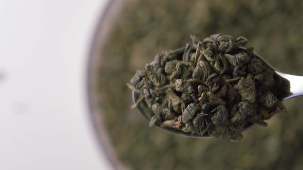 Green tea gunpowder. Dried rolled leaves in a metal spoon close-up. 
